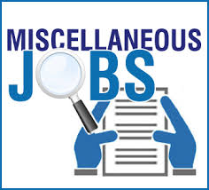 what do miscellaneous jobs pay