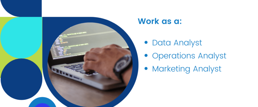 work from home as a data analyst