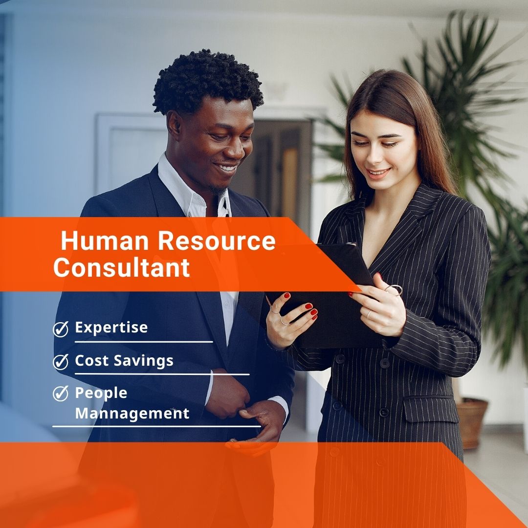 Human Resource Consultant Career Path Vizajobs Com