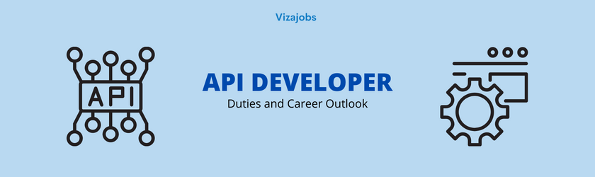 Api developer