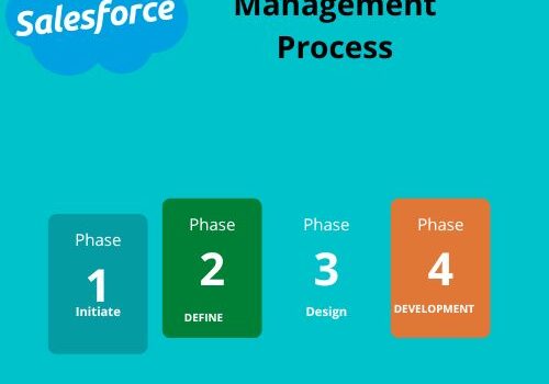 project management salesforce