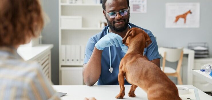 Top 30 Best Veterinary Appointment Scheduling Software