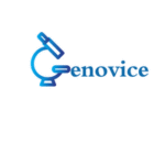 Genovice