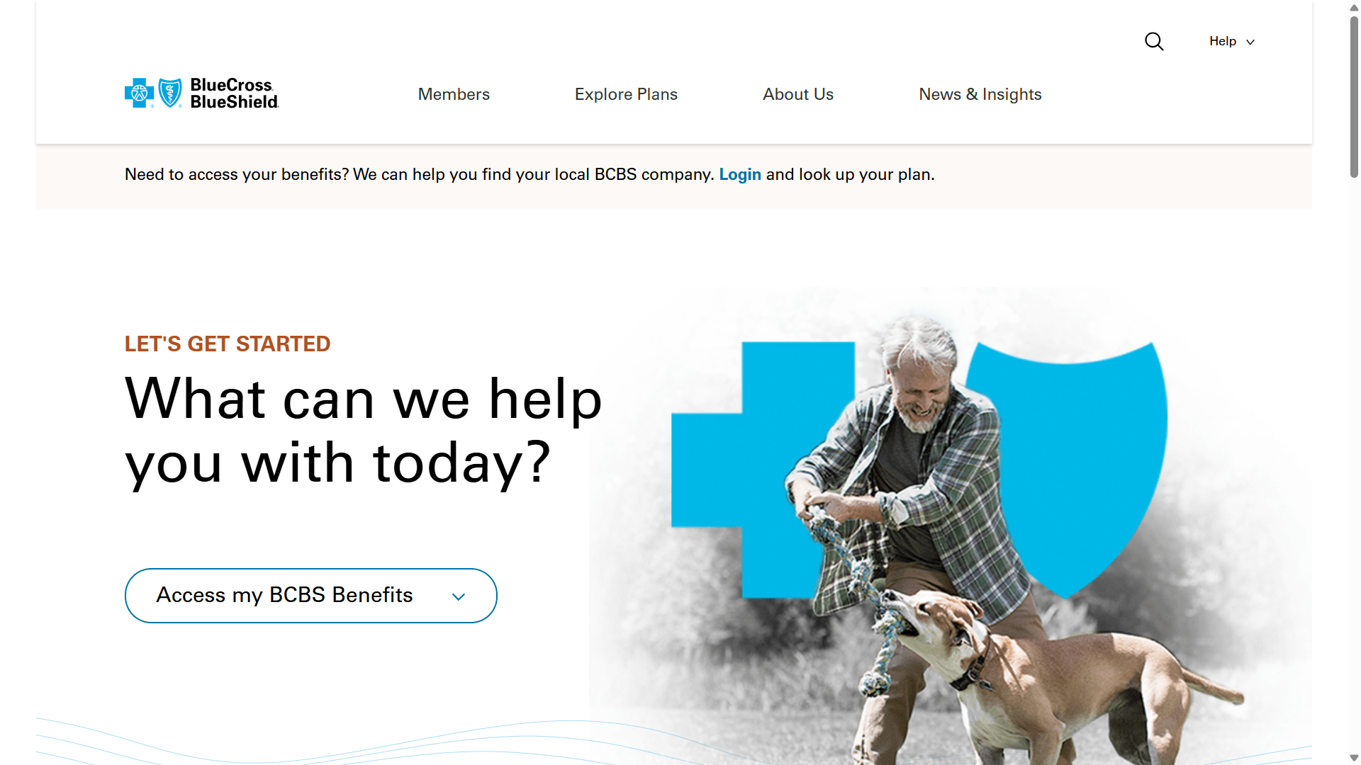 blue cross blue shield (bcbs)